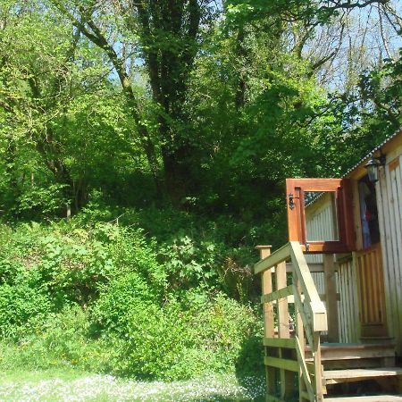 קארמרת'ן 'Morris' The Shepherd'S Hut With Woodland Hot Tub מראה חיצוני תמונה