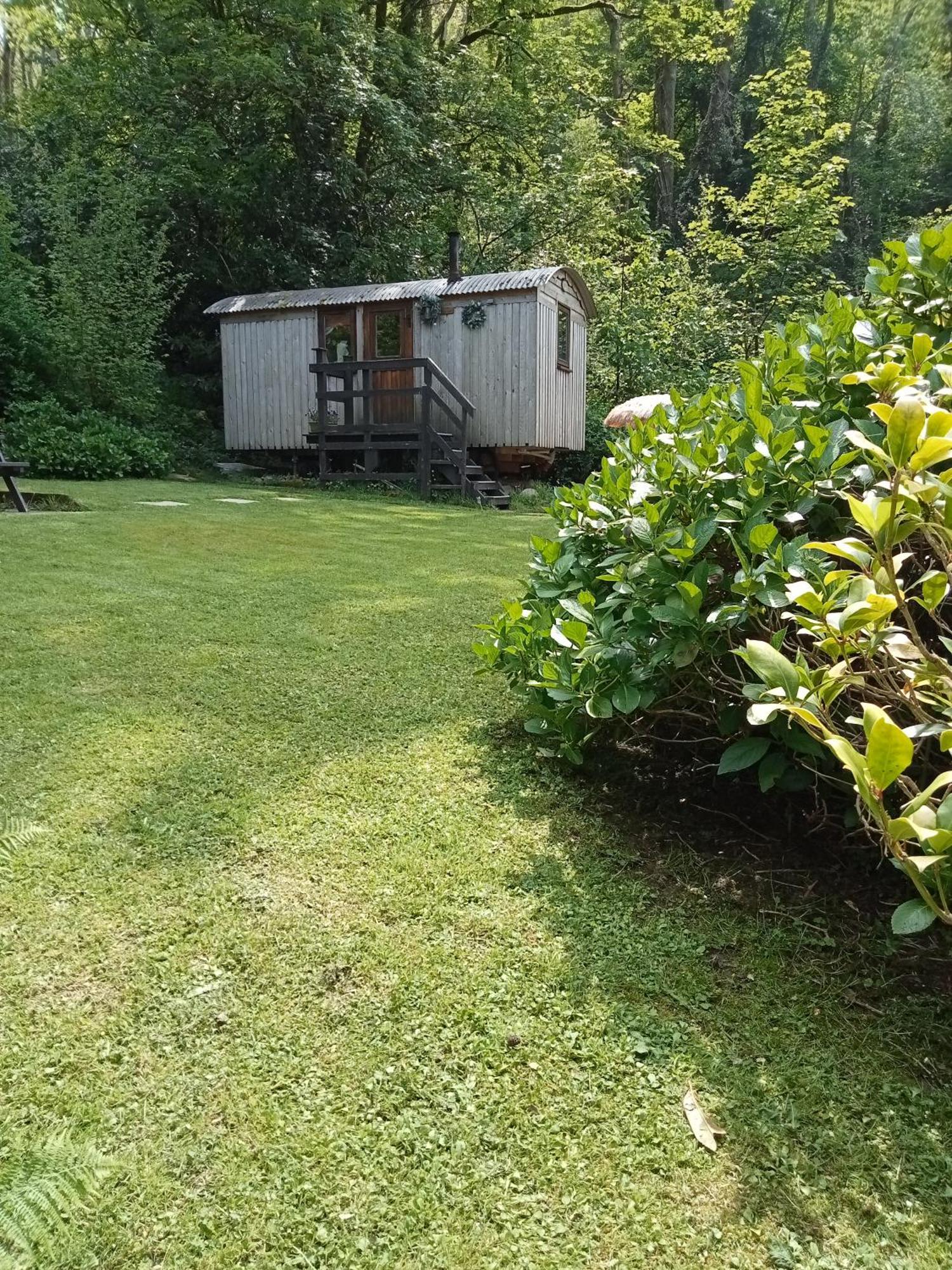 קארמרת'ן 'Morris' The Shepherd'S Hut And Woodland Hot Tub Experience מראה חיצוני תמונה