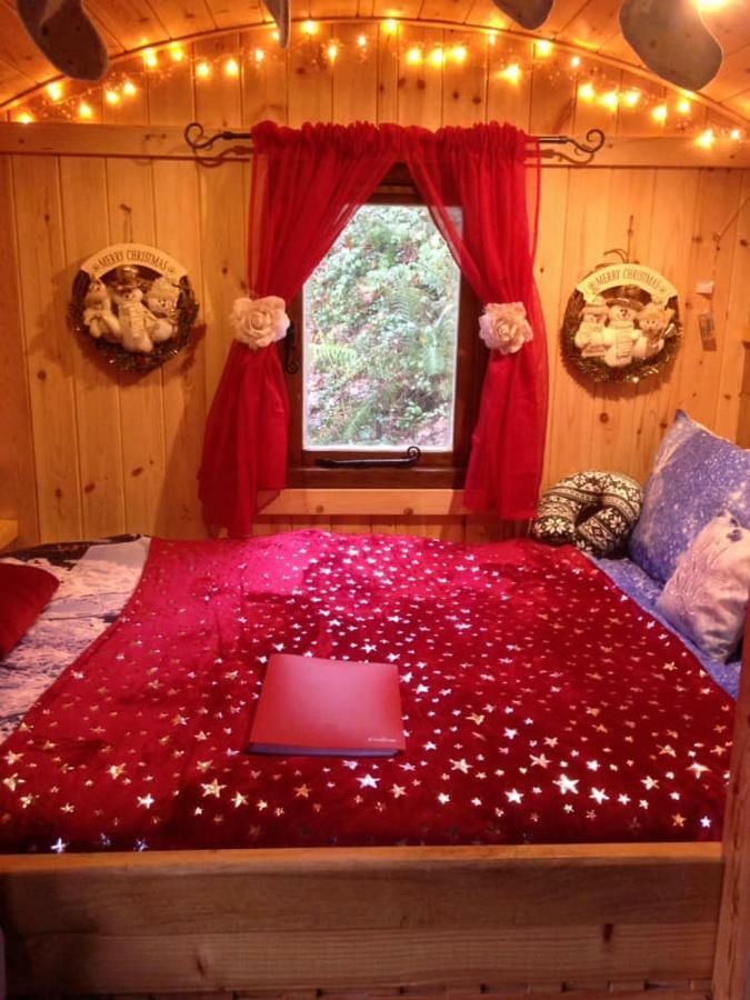 קארמרת'ן 'Morris' The Shepherd'S Hut And Woodland Hot Tub Experience מראה חיצוני תמונה