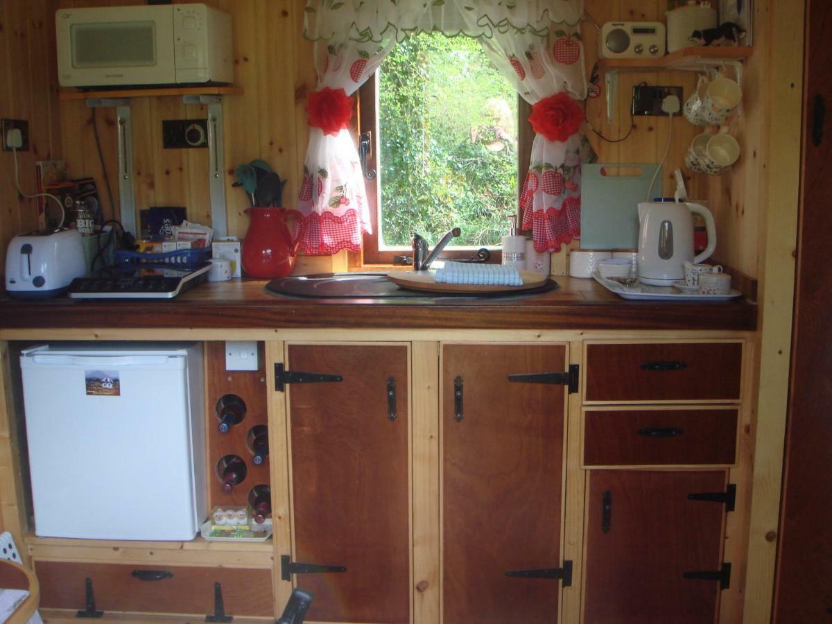 קארמרת'ן 'Morris' The Shepherd'S Hut And Woodland Hot Tub Experience מראה חיצוני תמונה