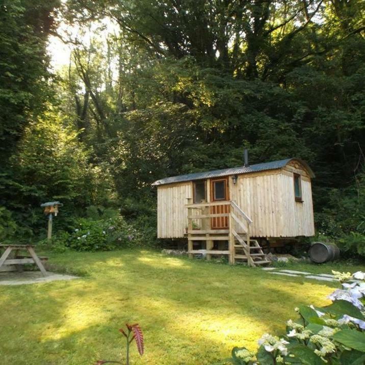 קארמרת'ן 'Morris' The Shepherd'S Hut And Woodland Hot Tub Experience מראה חיצוני תמונה