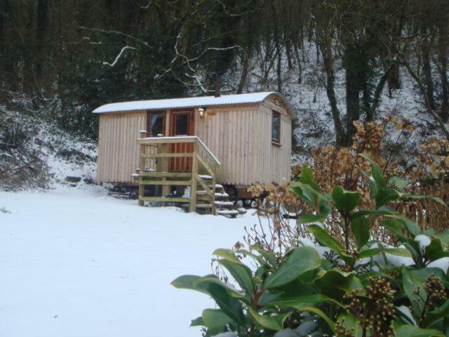 קארמרת'ן 'Morris' The Shepherd'S Hut And Woodland Hot Tub Experience מראה חיצוני תמונה