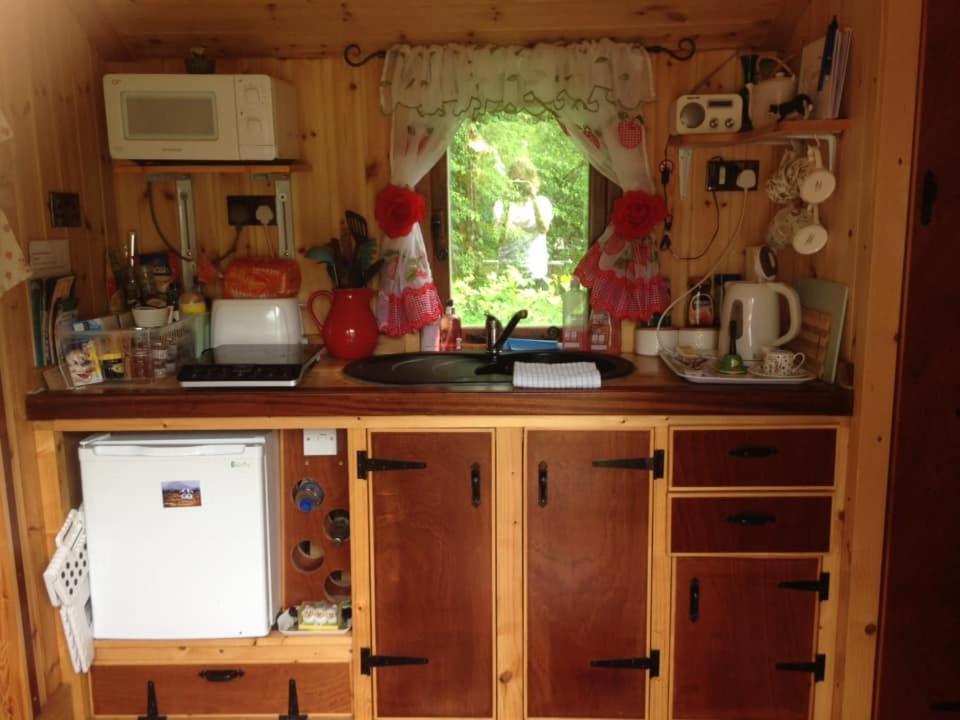 קארמרת'ן 'Morris' The Shepherd'S Hut And Woodland Hot Tub Experience מראה חיצוני תמונה