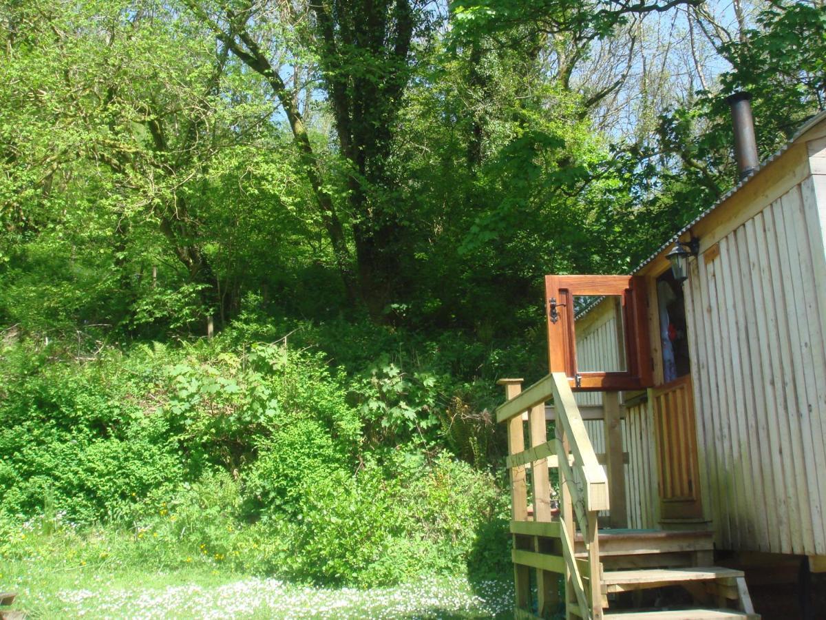 קארמרת'ן 'Morris' The Shepherd'S Hut With Woodland Hot Tub מראה חיצוני תמונה